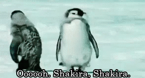 Penguin Dance GIF - Penguin Dance Shakira GIFs