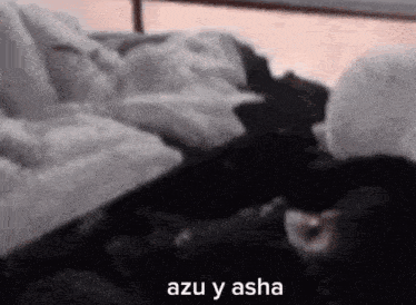 a person is laying on a bed with a cat and a caption that says `` azu y asha '' .