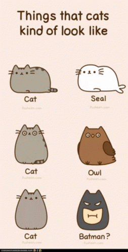Pusheen Things That Cats Kind Of Look Like GIF - Pusheen Things That Cats Kind Of Look Like Seal GIFs