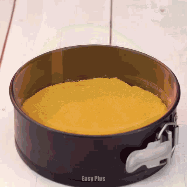 a cake pan with the words easy plus written on the bottom