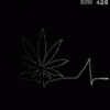 Marijuana Medical GIF - Marijuana Medical GIFs
