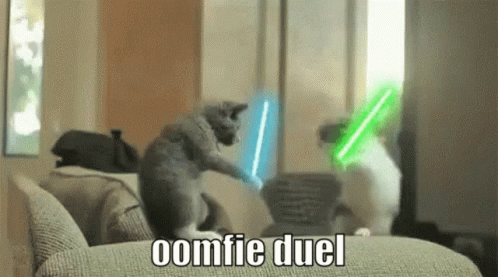 Oomfie Duel GIF - Oomfie Duel Cat GIFs