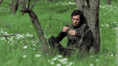 a man sits under a tree in a field of flowers