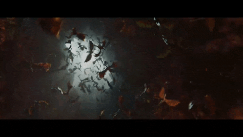 a flock of dragons are flying in the air