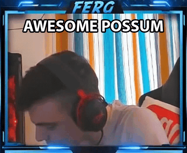Awesome Possum Thats Great GIF