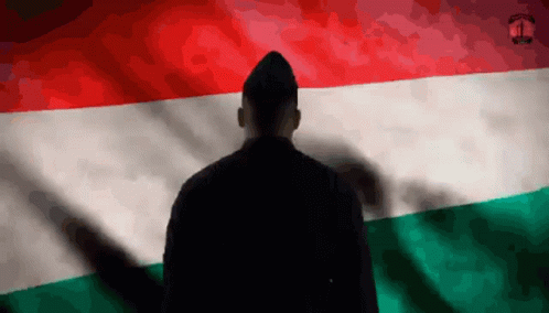 Hungary Hungarian GIF - Hungary Hungarian Hungarian Flag GIFs