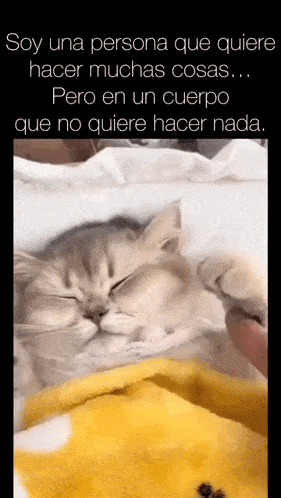 a cat laying on a blanket with a caption that says soy una persona que quiere hacer muchas cosas