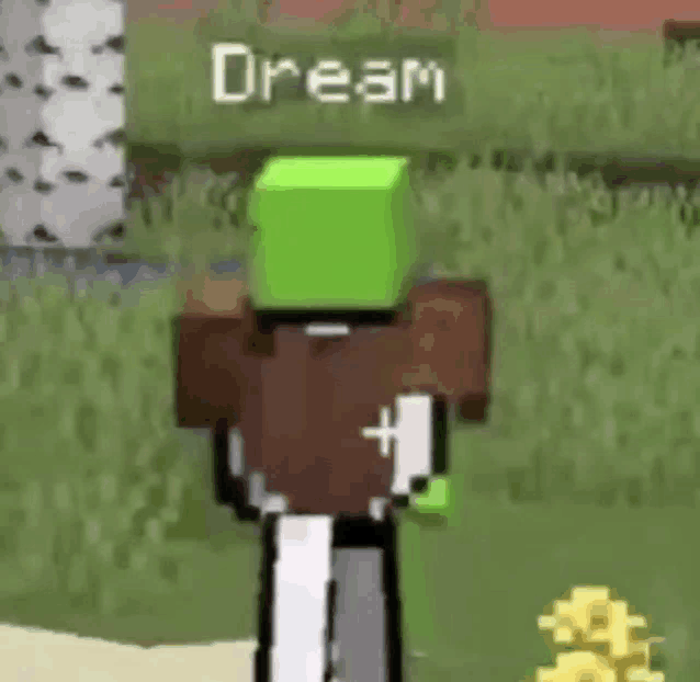 a minecraft character with a green head is standing in the grass .