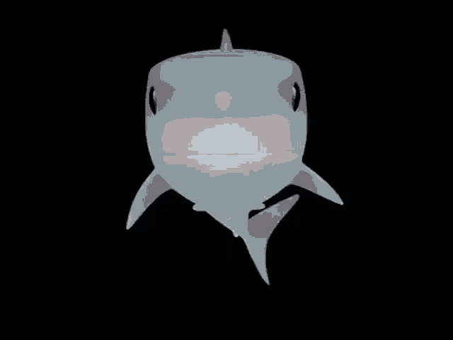 a white shark with a black eye is swimming in the water with its mouth open .