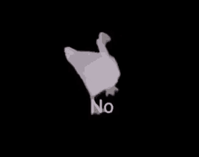 a white goose is walking on a black background with the words `` no '' below it .