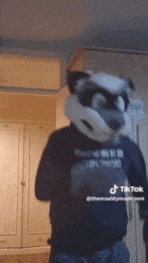 a person in a raccoon costume is dancing in a room with a tiktok watermark