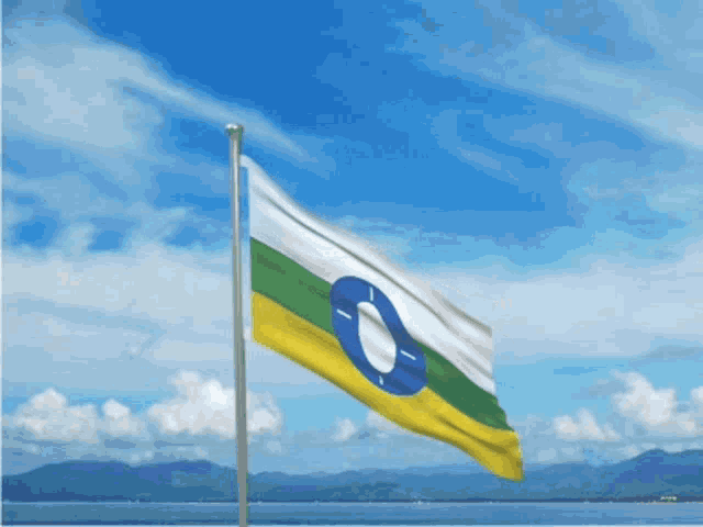 a yellow white and green flag with a blue circle on it