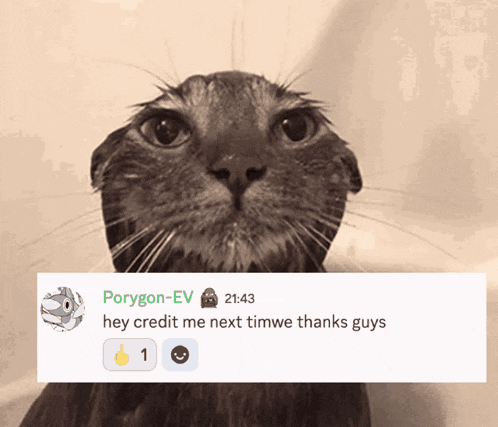 a picture of a cat with a message from porygon-ev below it