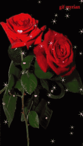 two red roses with green leaves on a black background with the words gif mylian