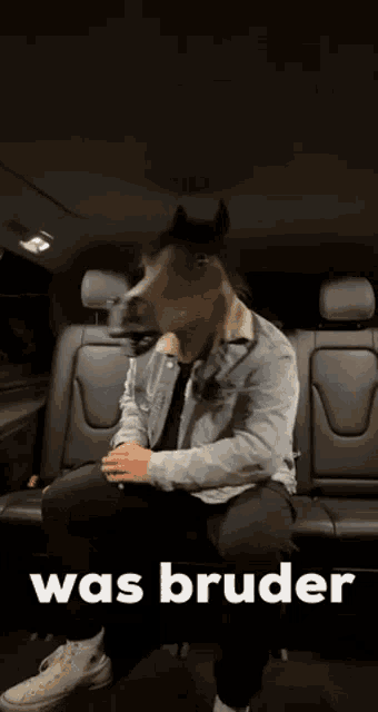 a man with a horse head mask is sitting in the back seat of a car .