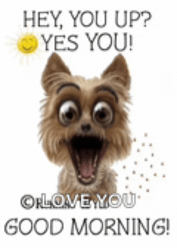 a picture of a dog with its mouth open and the words `` hey , you up ? yes you ! ``