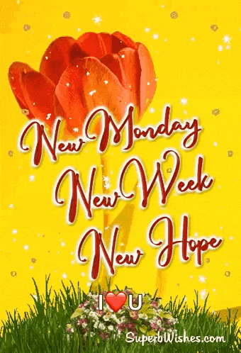 a yellow background with a red flower and the words " new monday new week new hope i love you "
