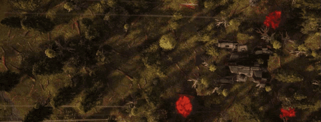 an aerial view of a field with trees and a red tree in the middle