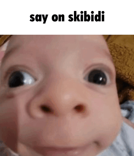 Skibidi Toilet Baby Meme - Skibidi toilet Baby Goofy ahh - Discover ...