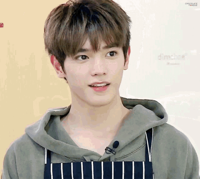 a young man wearing a striped apron and a hoodie looks at the camera .
