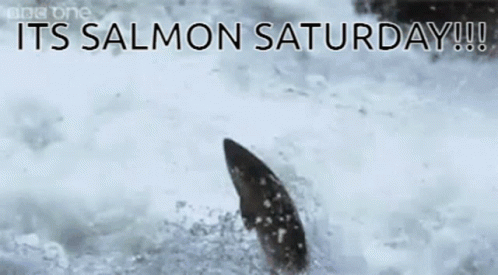 Saturday Funnyfish GIF - Saturday Funnyfish Salmon GIFs