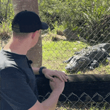 a man petting an alligator behind a fence