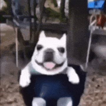 a french bulldog is sitting in a chair and smiling at the camera .