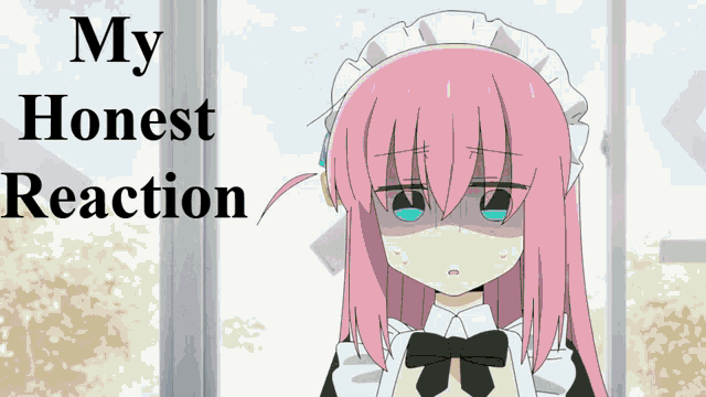 a picture of a maid with the words my honest reaction below her