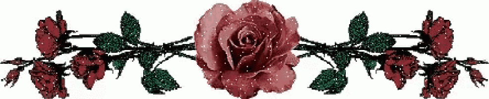 a red rose is surrounded by green leaves and barbed wire on a white background .