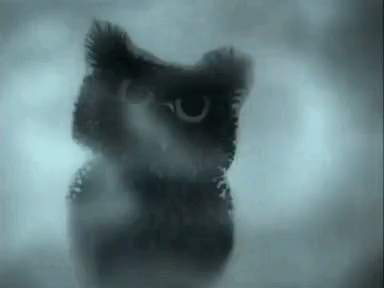 ежик в тумане туман бежать летучая мышь страшно GIF