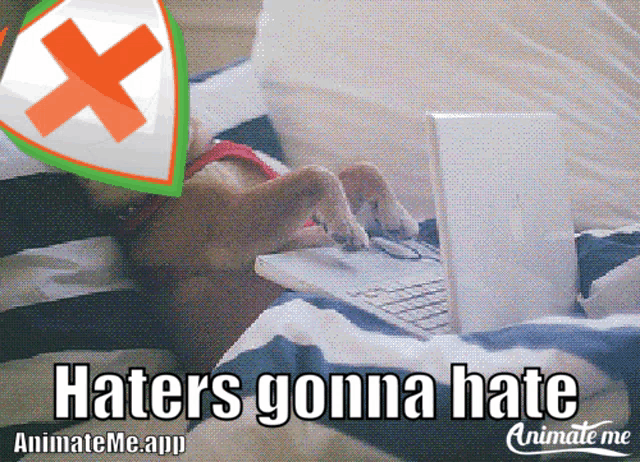 a picture of a dog using a laptop with the words haters gonna hate