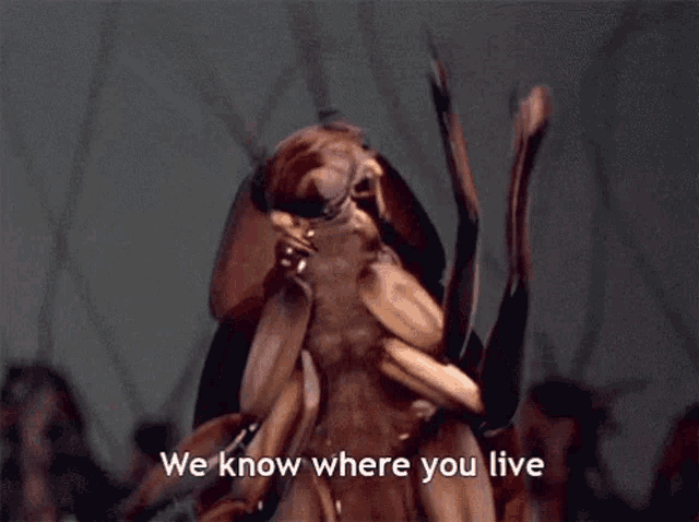 a cockroach says " we know where you live "