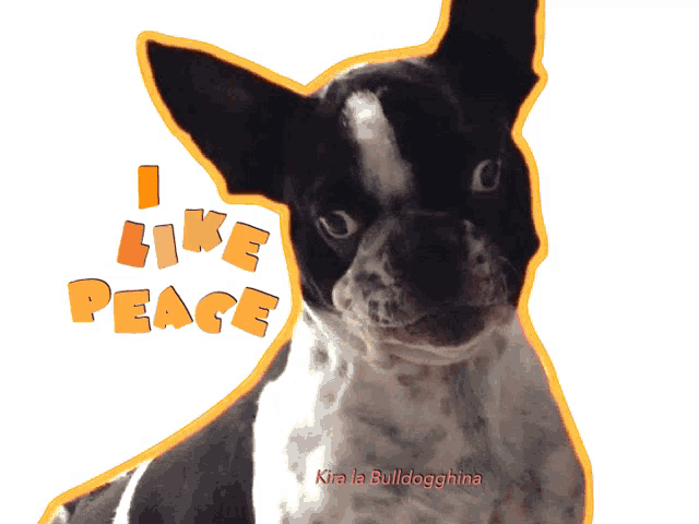 a picture of a dog with the words " i like peace " written above it