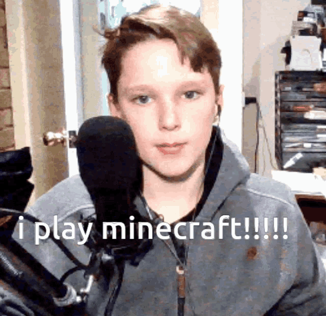 I Play Minecraft GIF - I Play Minecraft GIFs