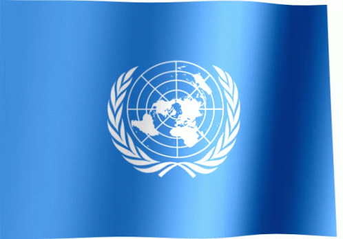 United Nations Un Flag GIF - United Nations Un Flag Un GIFs