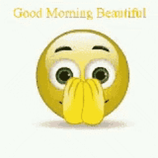 a smiley face with a heart in its mouth and a good morning message .