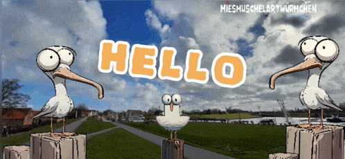 a cartoon of seagulls with googly eyes and the words hello in orange