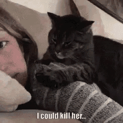 Cat Kitty GIF - Cat Kitty Kill GIFs