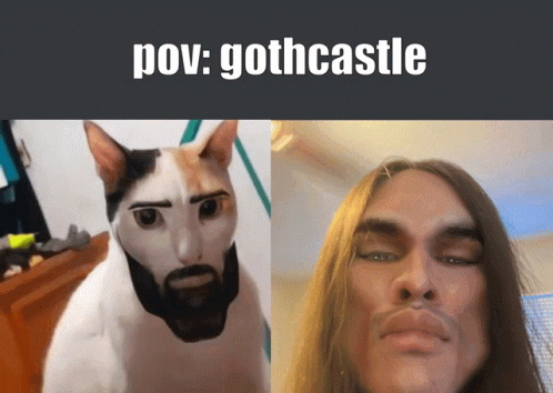 Gothcastle Pov GIF - Gothcastle Pov GIFs