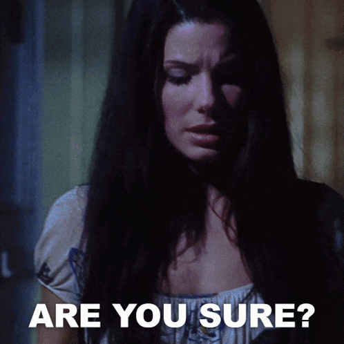 Are You Sure Sally Owens GIF - Are You Sure Sally Owens Sandra Bullock GIFs