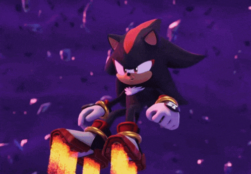 shadow the hedgehog and sonic the hedgehog are looking at each other