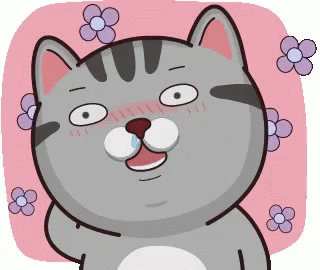 Cat Blush GIF - Cat Blush GIFs