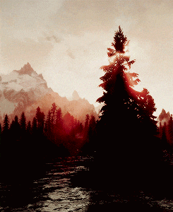 a river runs through a forest with a mountain in the background