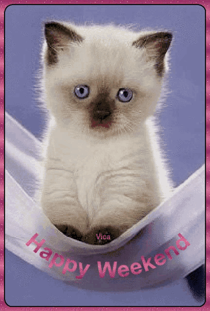a picture of a kitten with the words happy weekend below it
