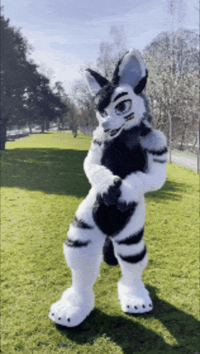 a black and white furry costume is standing in a grassy field