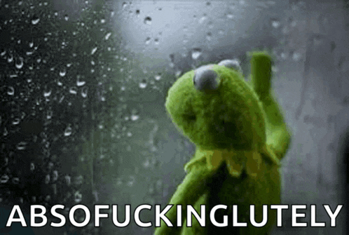 kermit the frog is standing in front of a window with rain drops on it and the words absofuckinglutely above him