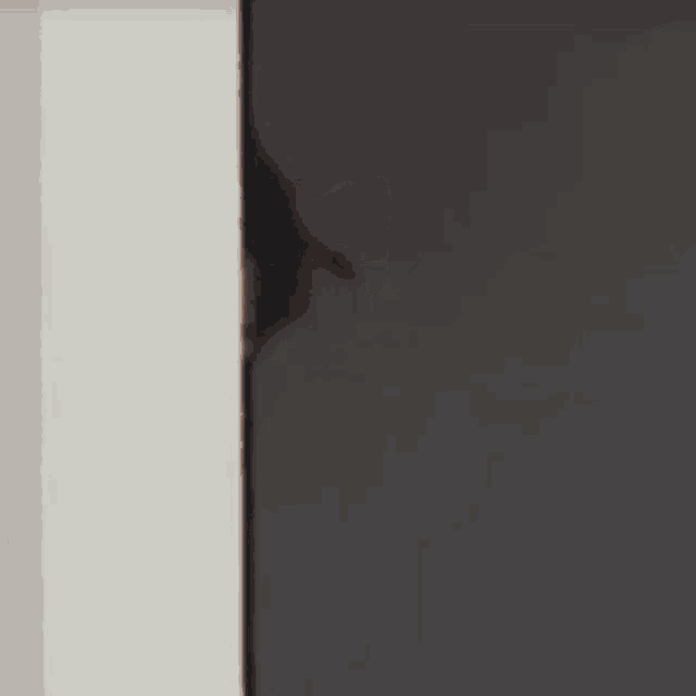 a close up of a person 's face peeking out from behind a door .