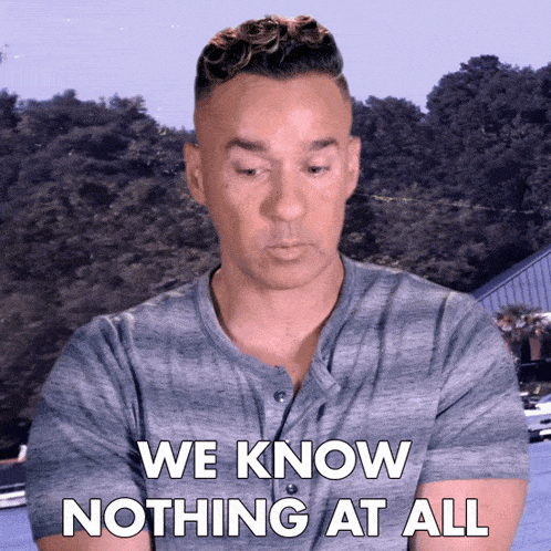 We Know Nothing At All The Situation GIF - We Know Nothing At All The Situation Mike Sorrentino GIFs