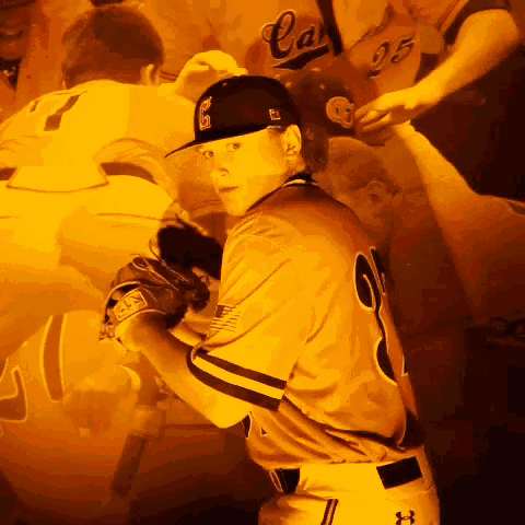 a baseball player wearing a jersey with the number 25 on it