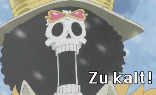 One Piece: Zu Kalt! GIF - Kalt Zu Kalt One Piece GIFs